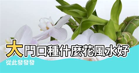 門前種什麼花風水好